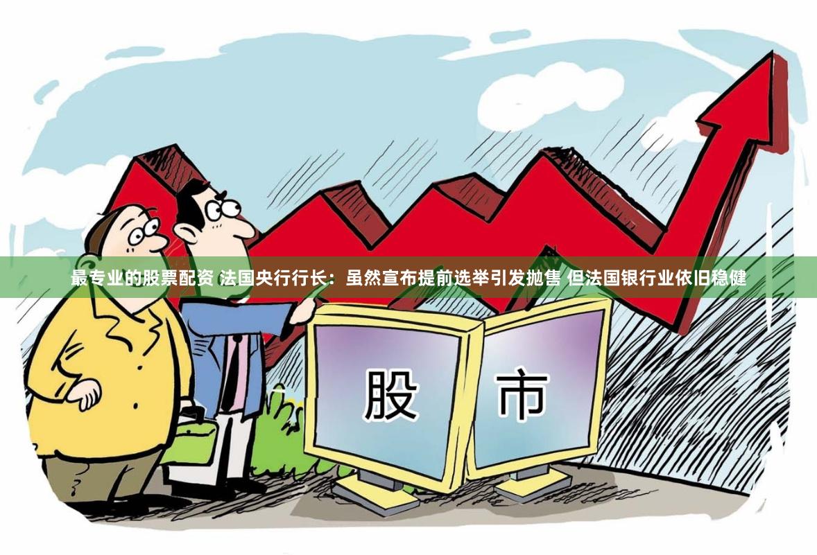 最专业的股票配资 法国央行行长：虽然宣布提前选举引发抛售 但法国银行业依旧稳健