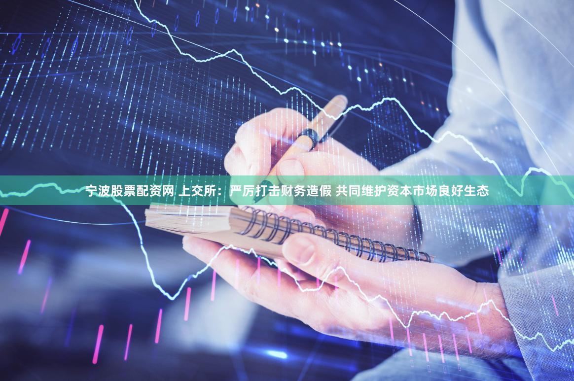 宁波股票配资网 上交所：严厉打击财务造假 共同维护资本市场良好生态