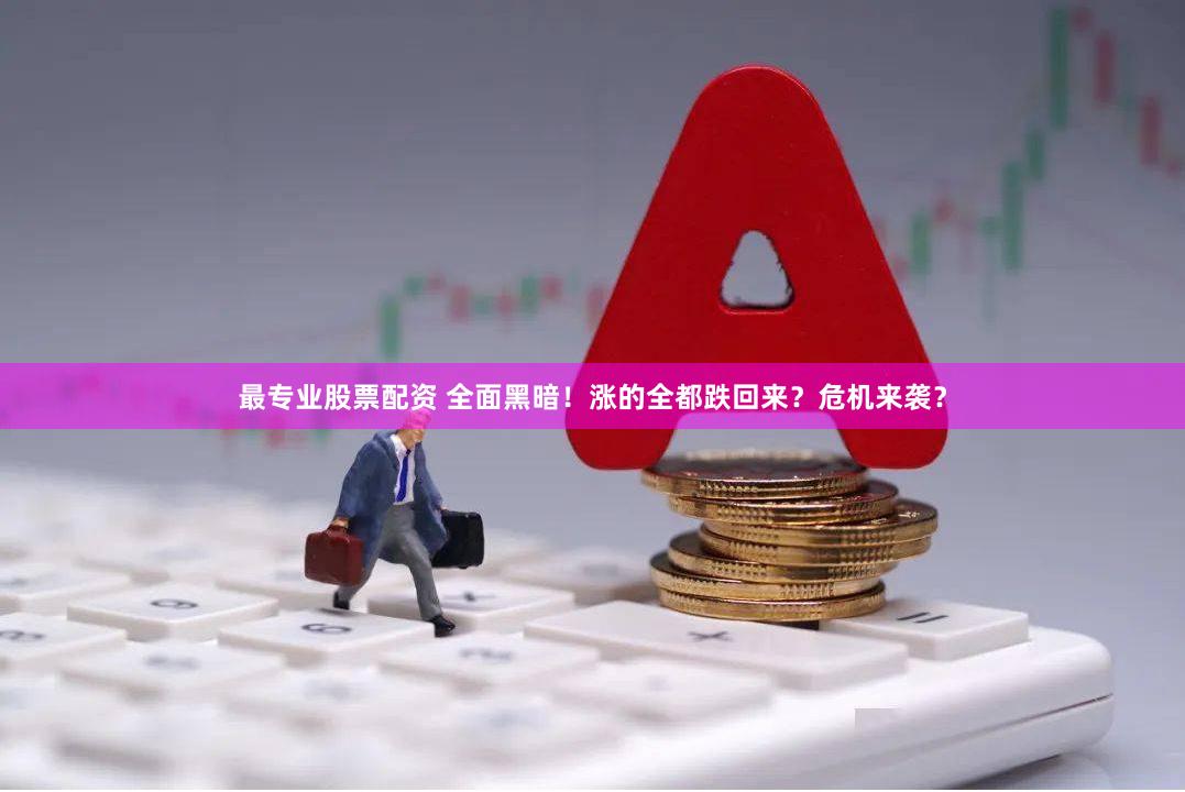 最专业股票配资 全面黑暗！涨的全都跌回来？危机来袭？