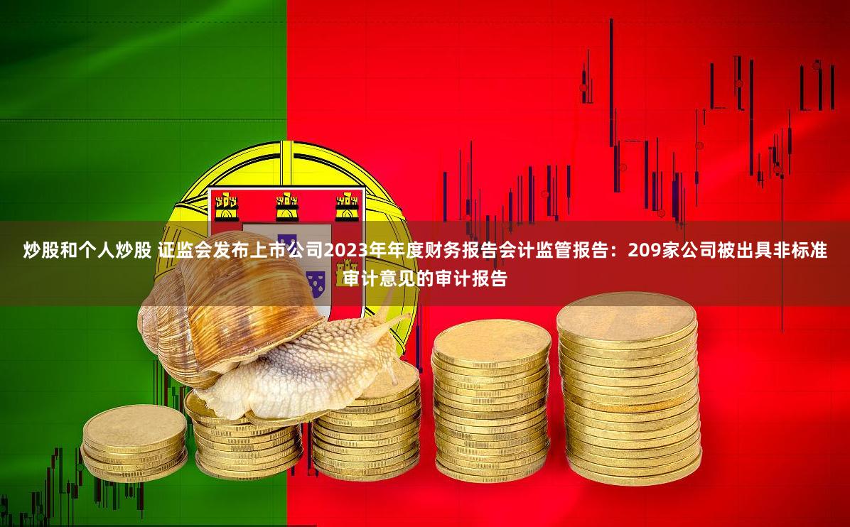 炒股和个人炒股 证监会发布上市公司2023年年度财务报告会计监管报告：209家公司被出具非标准审计意见的审计报告