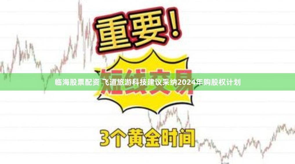临海股票配资 飞道旅游科技建议采纳2024年购股权计划