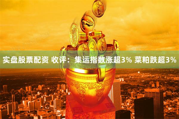 实盘股票配资 收评:集运指数涨超3% 菜粕跌超3%