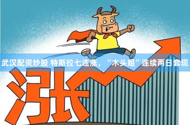 武汉配资炒股 特斯拉七连涨，“木头姐”连续两日套现